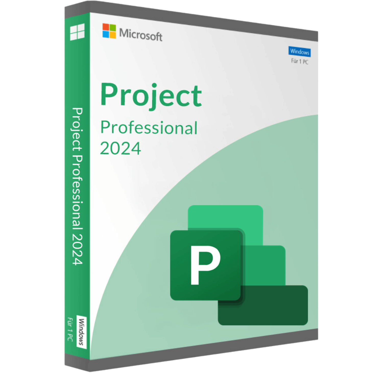 Microsoft Project 2024 Professional