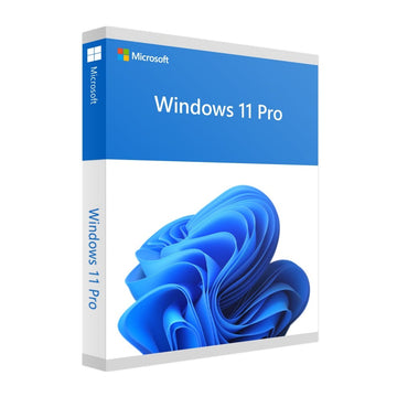 Microsoft Windows 11 Pro (Retail)
